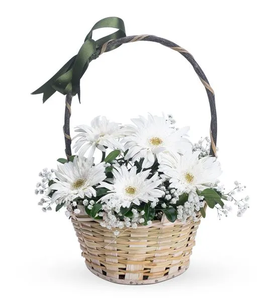 Huzur Esintisi 5 Beyaz Gerbera Çiçek Sepeti