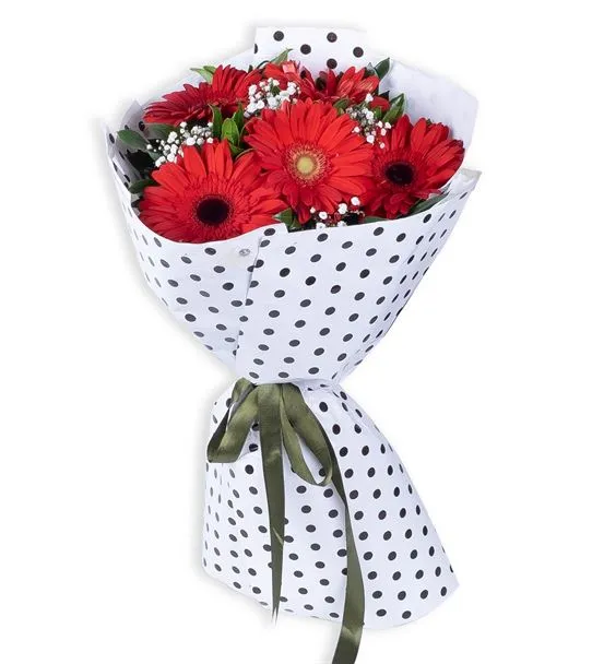 Sevgi Tutkusu 5 Kırmızı Gerbera Çiçek Buketi