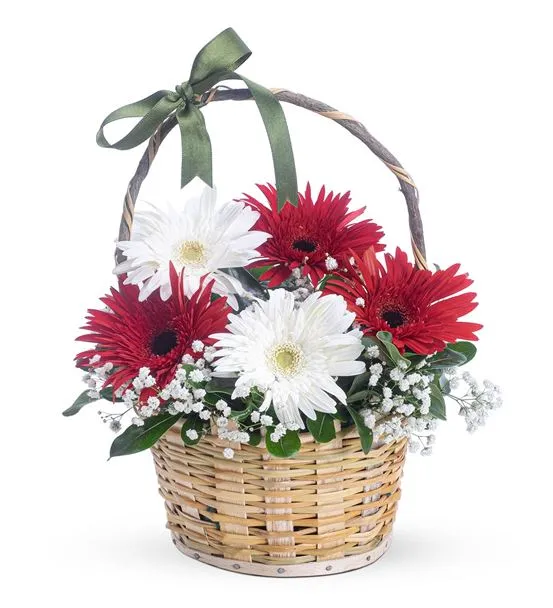 Yaz Güneşi 3 Kırmızı 2 Beyaz Gerbera Çiçek Sepeti
