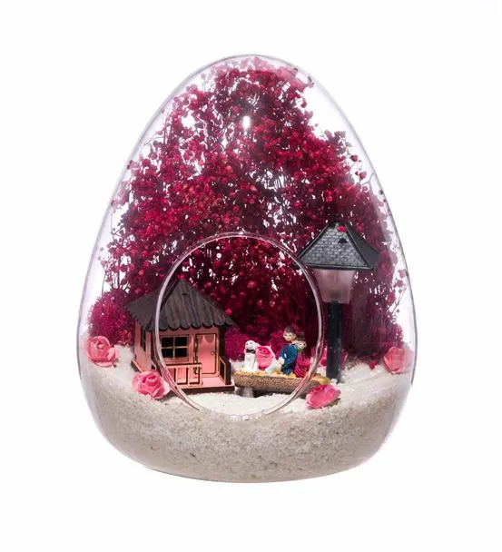Terarum Rüya Gibi Evimiz Pembe-Işıklı
