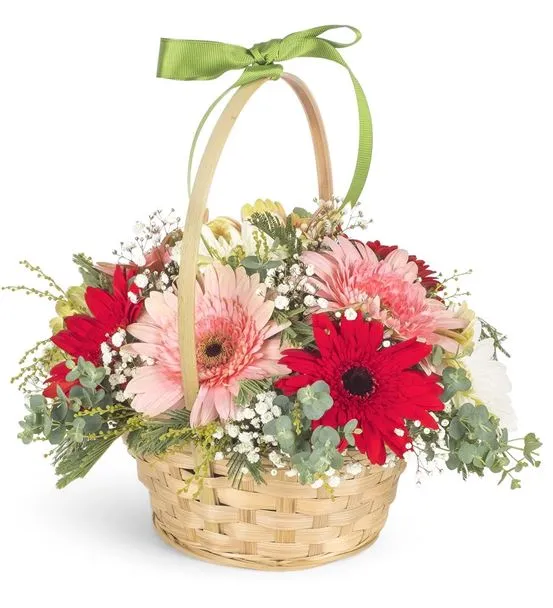 Baharın Renkleri Gerbera Çiçek Sepeti
