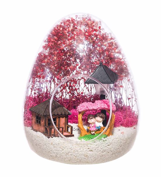Teraryum Pembe Bahçede Aşk-Işıklı